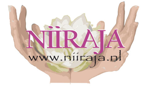 Logo niiraja